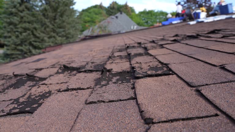 Best Sheet Metal Roofing  in Ahoskie, NC