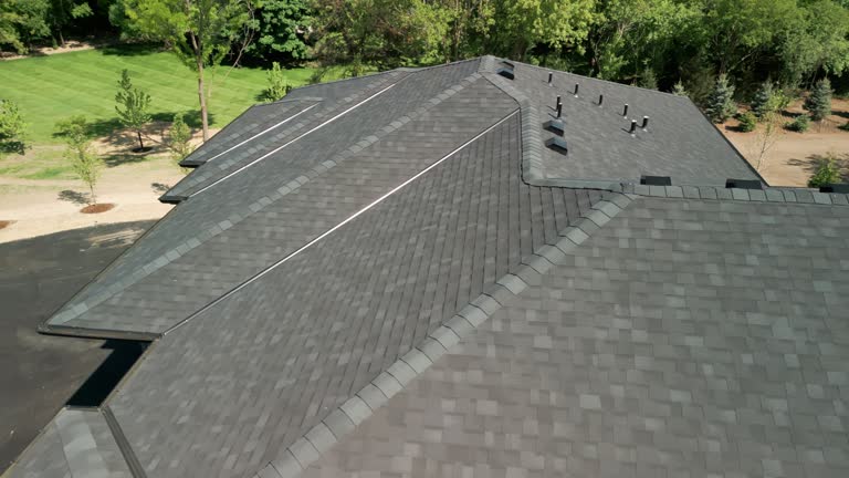 Best Skylight Installation and Repair  in Ahoskie, NC
