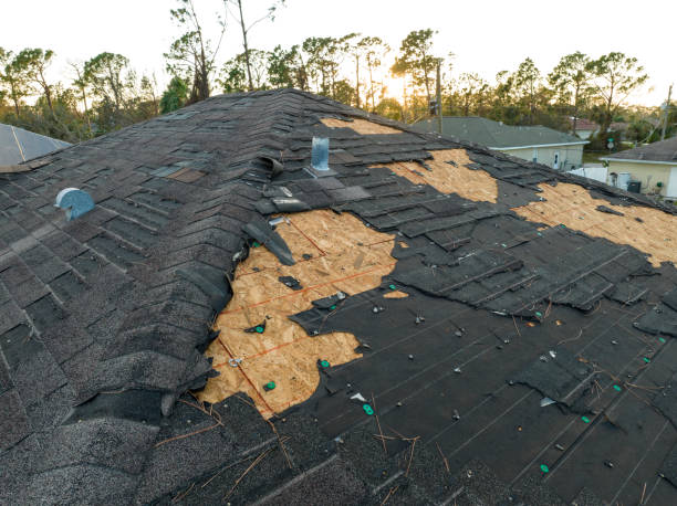Best Asphalt Shingles Roofing  in Ahoskie, NC