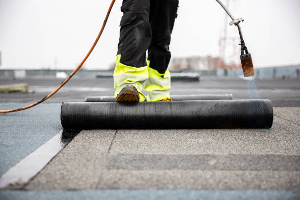 Best Skylight Installation and Repair  in Ahoskie, NC