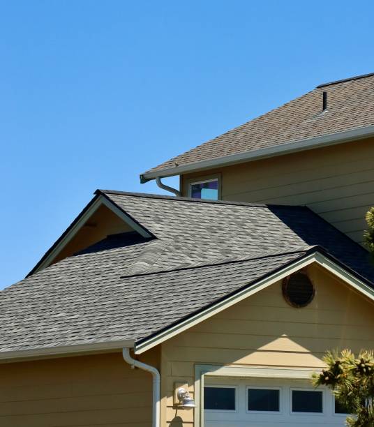 Best Roof Maintenance and Cleaning  in Ahoskie, NC