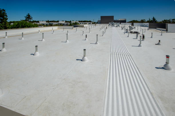 Best Rubber Roofing (EPDM, TPO)  in Ahoskie, NC